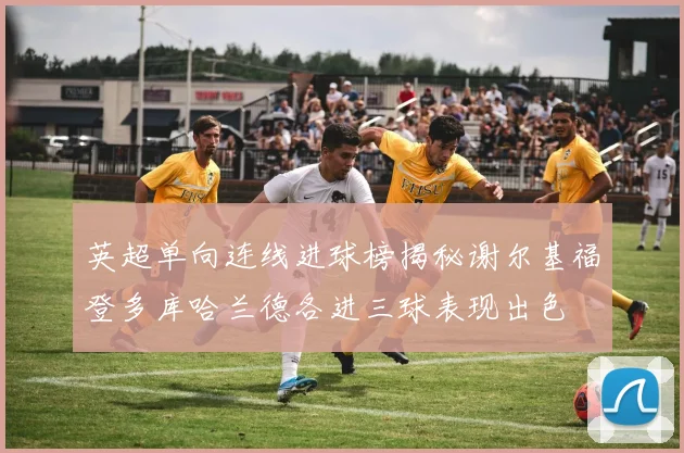 英超单向连线进球榜揭秘谢尔基福登多库哈兰德各进三球表现出色