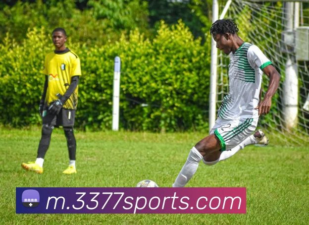 3377体育APP 封面图